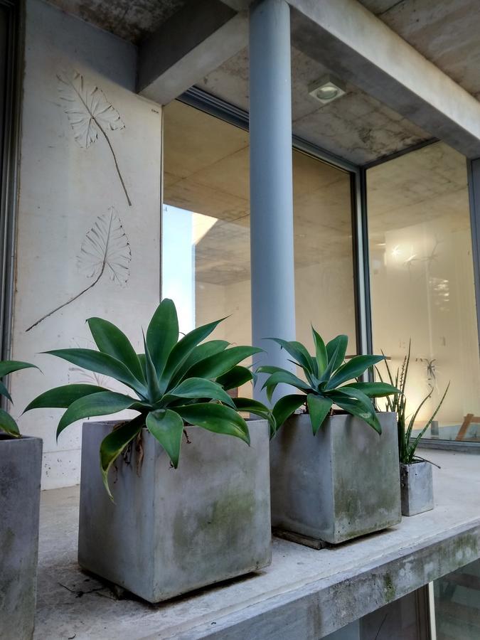 Apartament I+O "Inside And Out" Colonia del Sacramento Zewnętrze zdjęcie